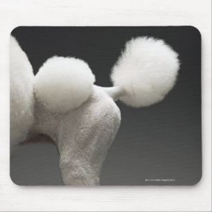 Haunches of Poodle, on grey background Mouse Pad