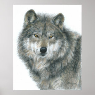 "Haunted Eyes" Wolf Poster by Artist Carla Kurt
