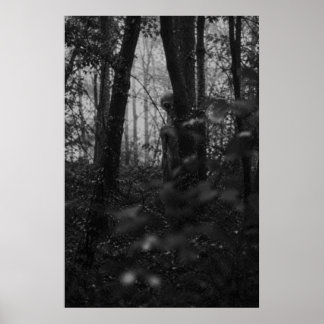Haunted Forest – Mysterious Shadow in the Woods Poster