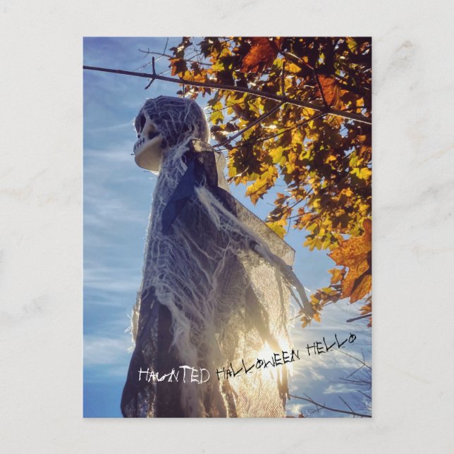 Haunted Halloween Hello Spirit Postcard (Front)