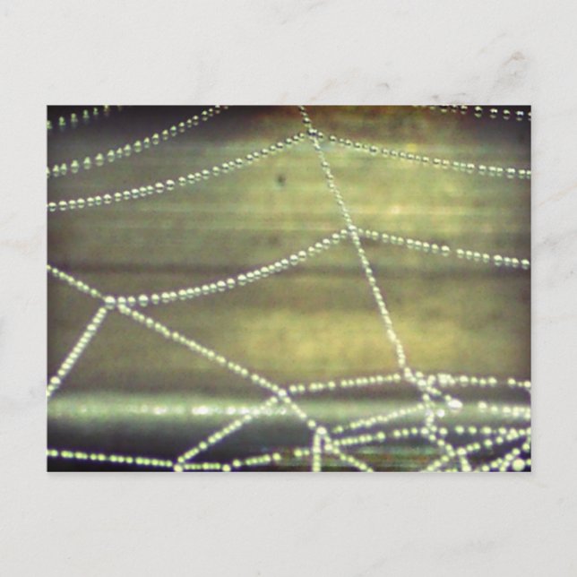 Haunted Postcard (Front)