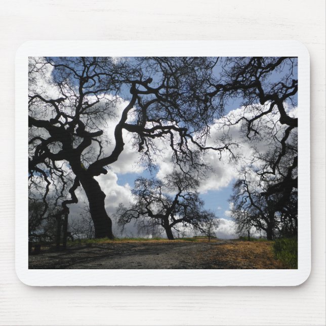 Haunted Trees Beautiful Natural Scenic Photo Mouse Pad (Front)