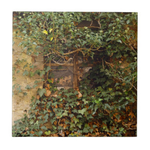 Haunted window   ceramic tile