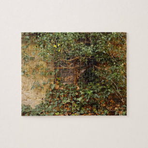 Haunted window  jigsaw puzzle