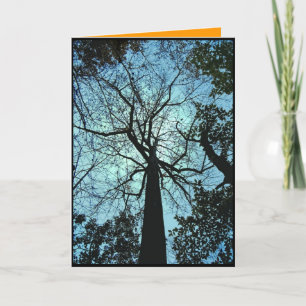 Haunted Woods Halloween Card