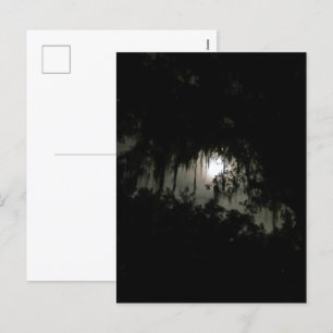 Haunting Dark Night  Holiday Postcard