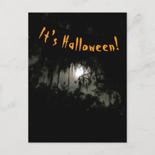 Haunting Dark Night Invitation Postcard