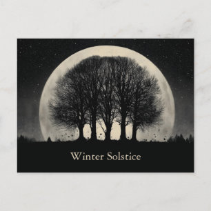 Hauntingly Beautiful Silhouette of Bare Trees Postcard