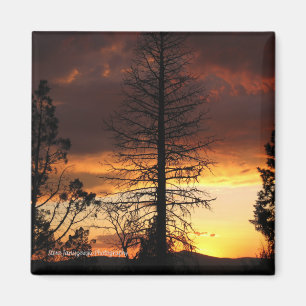 Hauntingly Beautiful Sunset Magnet