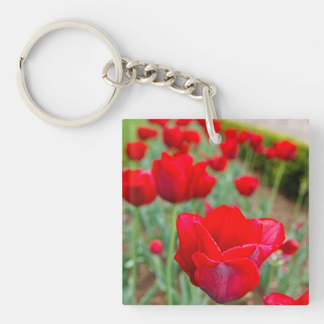 Haupt Bulbs, Close-up Key Ring (Front)