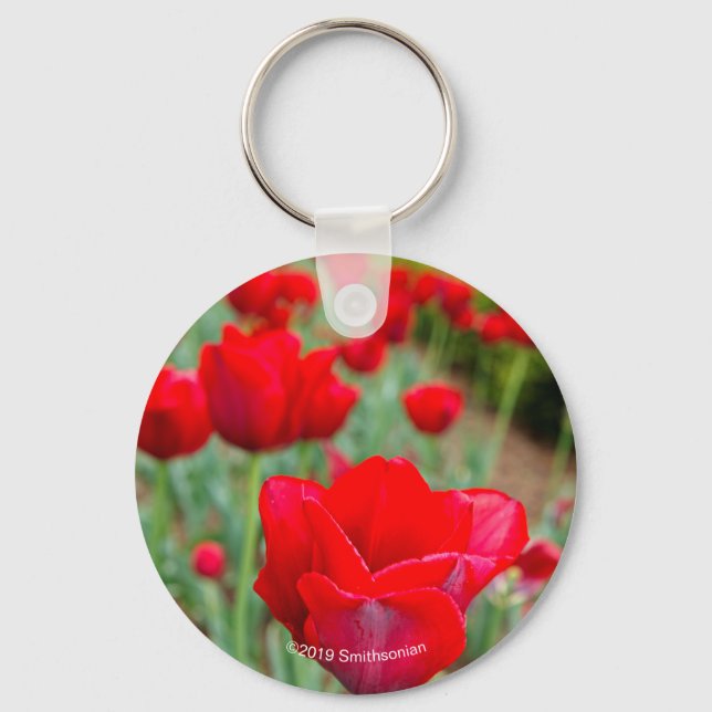 Haupt Bulbs, Close-up Key Ring (Front)