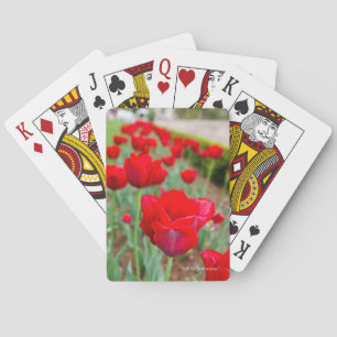 Haupt Bulbs, Close-up Playing Cards