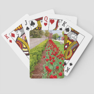Haupt Bulbs Playing Cards