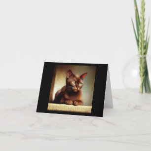 Havana Brown Cat Card
