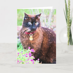 Havana Greeting Card