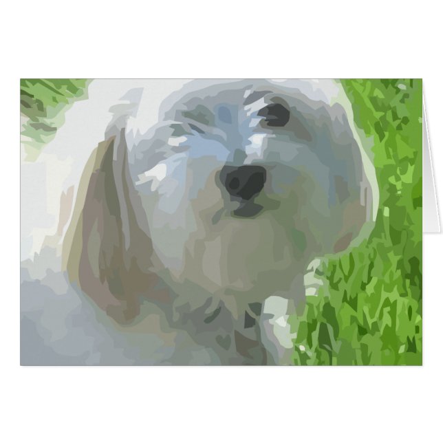 Havanese (Front Horizontal)