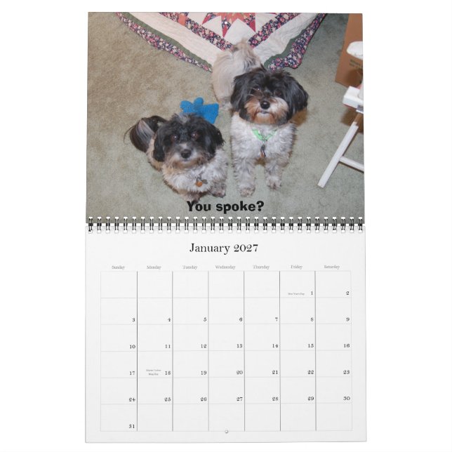 Havanese 2009 calendar (Jan 2027)