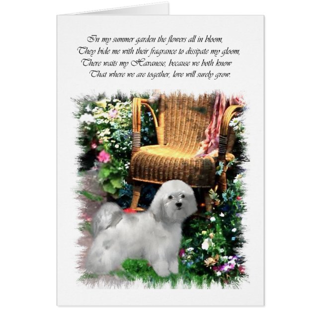 Havanese Art Gifts (Front)