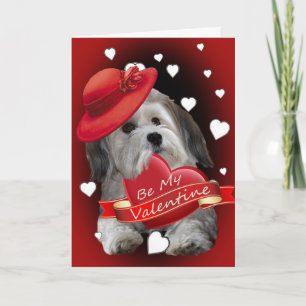 Havanese Be My Valentine Cards