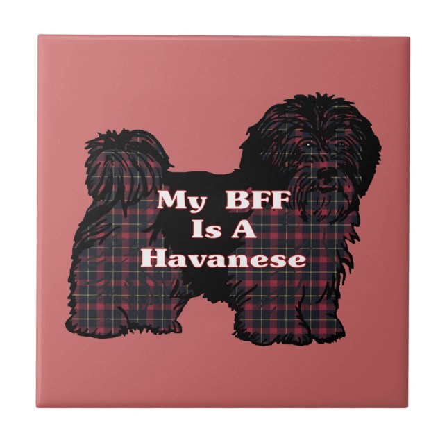HAVANESE BFF CERAMIC TILE (Front)