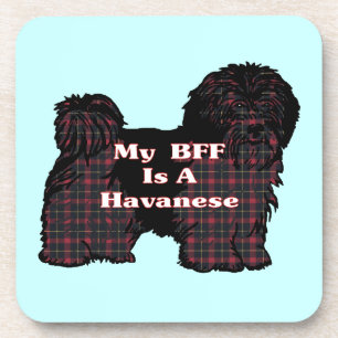 HAVANESE BFF COASTER