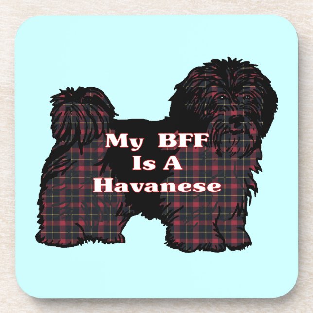HAVANESE BFF COASTER (Front)