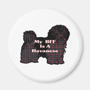 HAVANESE BFF Gifts Magnet