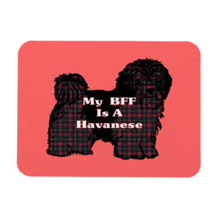 HAVANESE BFF MAGNET