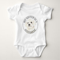 Havanese Big Sister