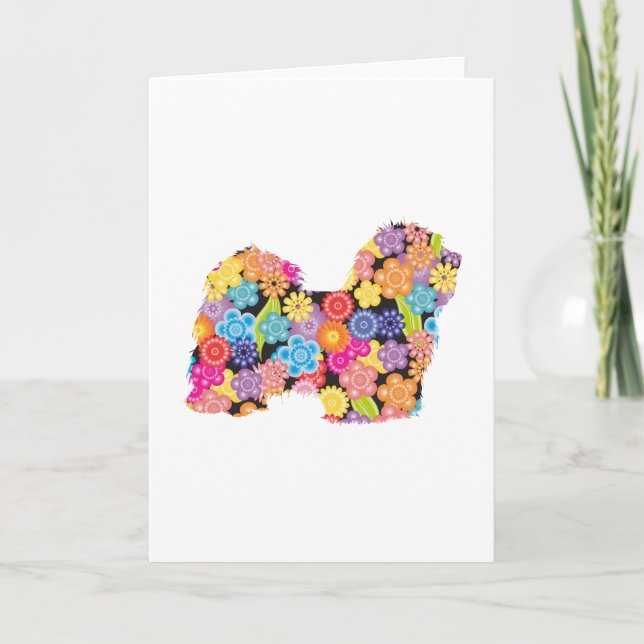 Havanese Card (Front)