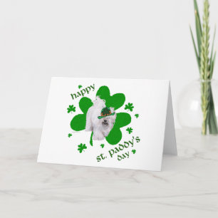 Havanese Celebrates St. Paddy's Day Card