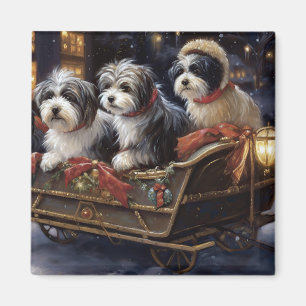 Havanese Christmas Festive Season Magnet