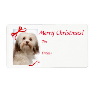 Havanese Christmas Gift Stickers