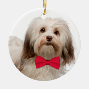 Havanese Christmas Ornament