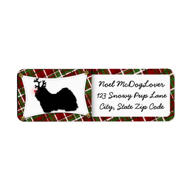 Havanese Christmas Return Address Label (Front)
