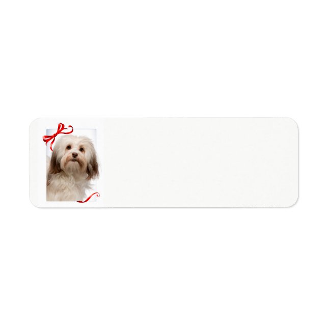 Havanese Christmas Return Address Labels (Front)