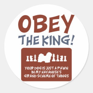 Havanese Classic Round Sticker
