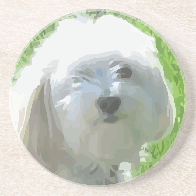 Havanese Coaster (Front)