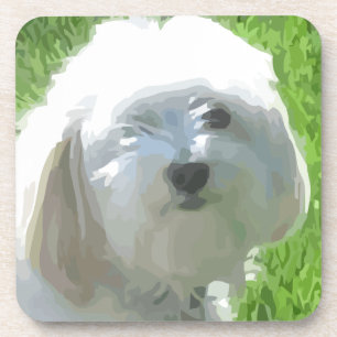 Havanese Coaster