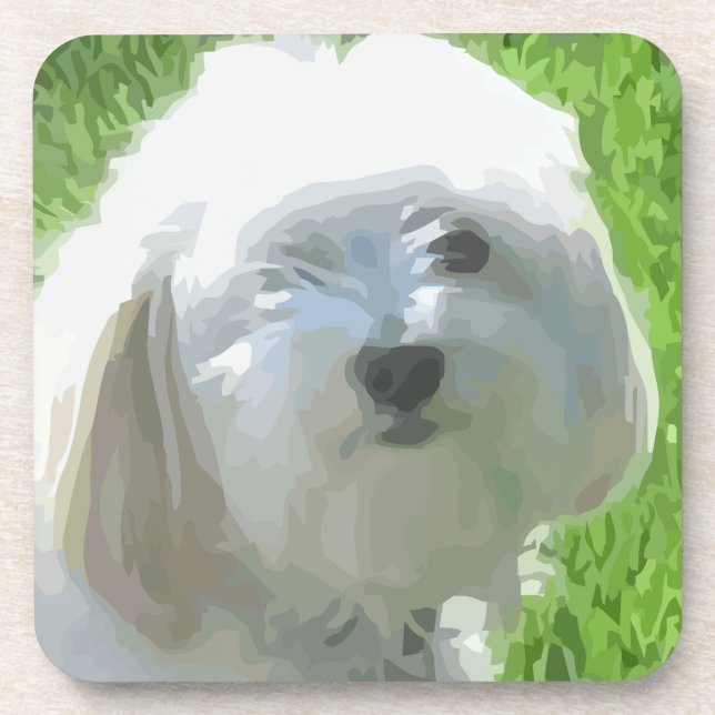 Havanese Coaster (Front)