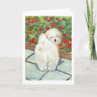 Havanese Dog and Poppies Art Print Cards