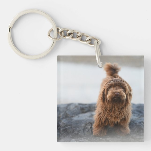 Havanese dog, Animal, Canine Key Ring (Front)