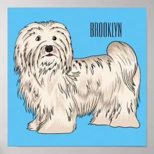 Havanese dog cartoon illustration poster