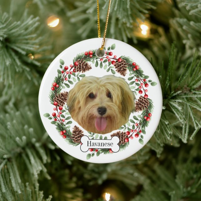 havanese dog ceramic ornament (Tree)