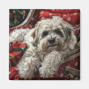 Havanese Dog Christmas Festive Magnet