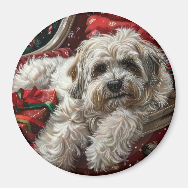Havanese Dog Christmas Festive Magnet (Front)