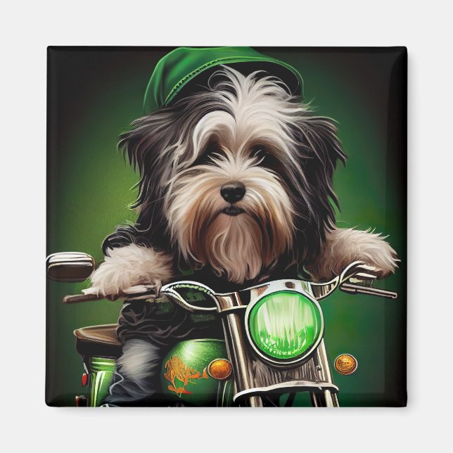 Havanese Dog Driving Bike St. Patrick's Day Magnet (Front)