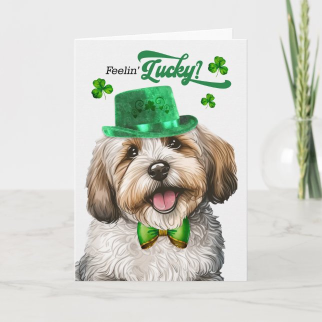 Havanese Dog Feelin' Lucky St Patrick's Day Holiday Card (Front)