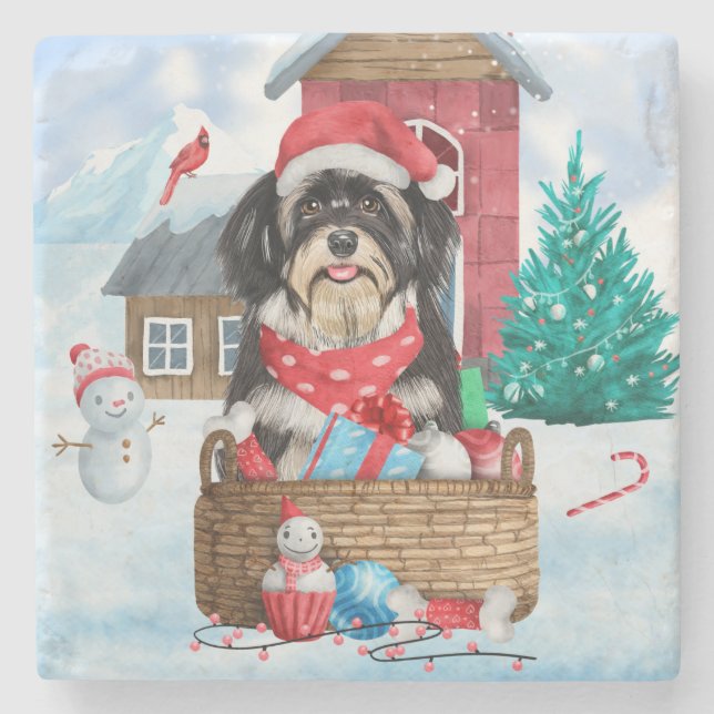 Havanese Dog In snow Christmas Dog House  Stone Coaster (Front)