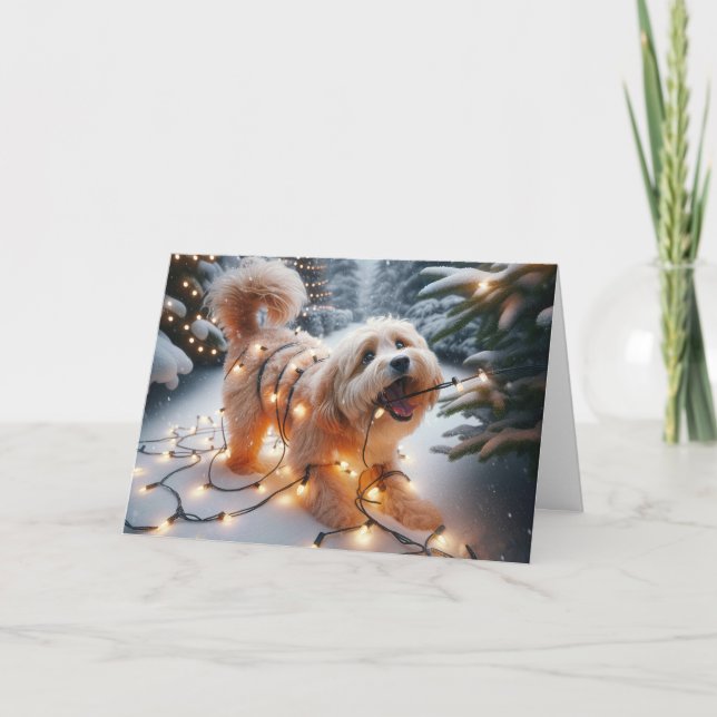 Havanese Dog In Tangled Christmas Lights Holiday Card (Front)